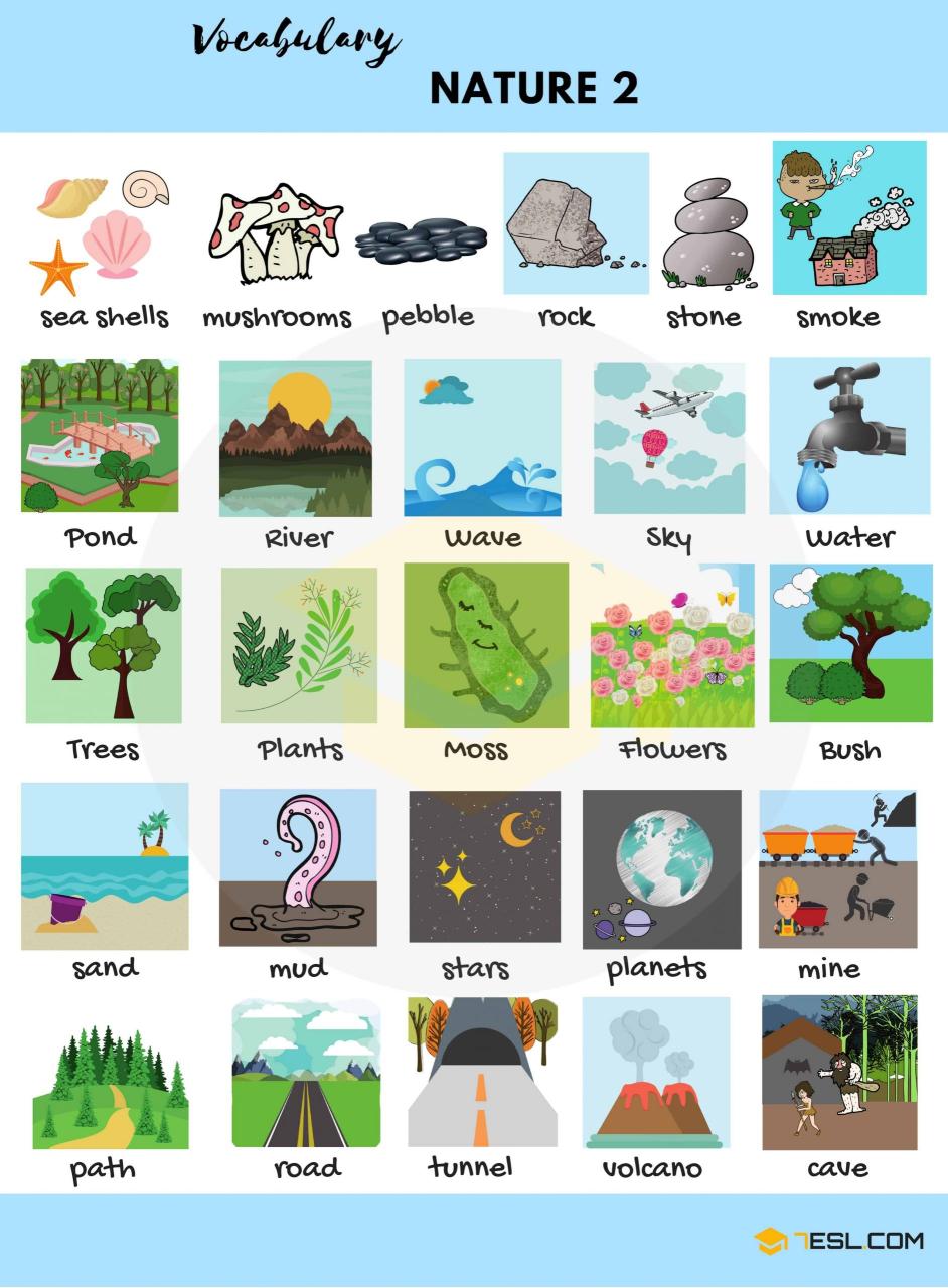 คำศัพท์ภาษาอังกฤษ หมวดธรรมชาติ Nature Vocabulary - Learningstudio.Info