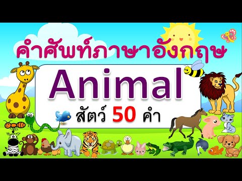 คำศัพท์ภาษาอังกฤษสัตว์ 50 ชนิด | Animals | Learn and song